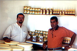 Município produz melhor mel da Bahia Município produz melhor mel da Bahia